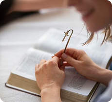 What’s New in Our Premium Reflections